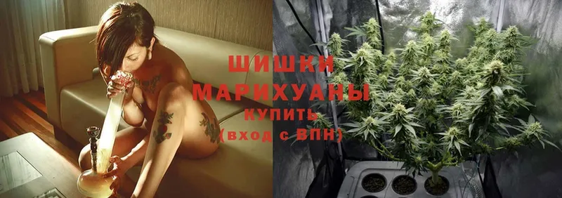 Каннабис план  Мариинск 